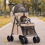 Un vieux bichon à l'étage du haut et un vieux schnauzer nain à celui du bas, poussette double étage kaki, sur une allée de parc en automne (illustration)