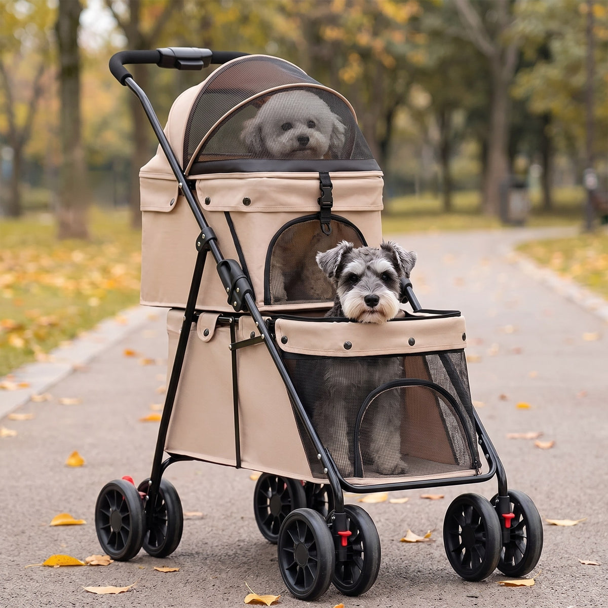 Un vieux bichon à l'étage du haut et un vieux schnauzer nain à celui du bas, poussette double étage kaki, sur une allée de parc en automne (illustration)