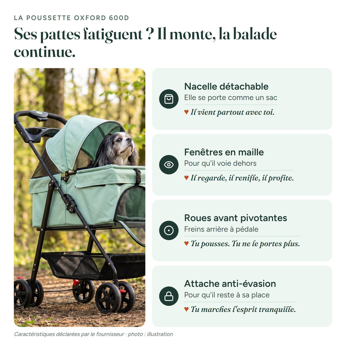 Infographie La poussette Oxford 600D : Nacelle détachable (Elle se porte comme un sac) : Il vient partout avec toi. · Fenêtres en maille (Pour qu'il voie dehors) : Il regarde, il renifle, il profite. · Roues avant pivotantes (Freins arrière à pédale) : Tu pousses. Tu ne le portes plus. · Attache anti-évasion (Pour qu'il reste à sa place) : Tu marches l'esprit tranquille.