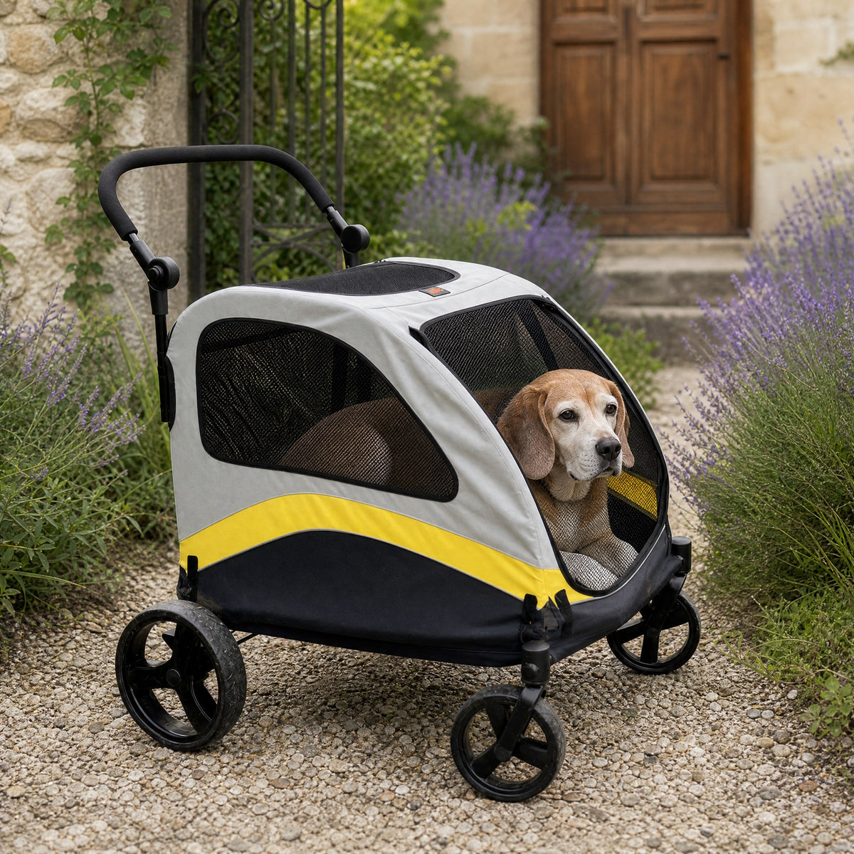 Un vieux beagle dans la poussette tout-terrain, devant une maison, prêt à partir (illustration)