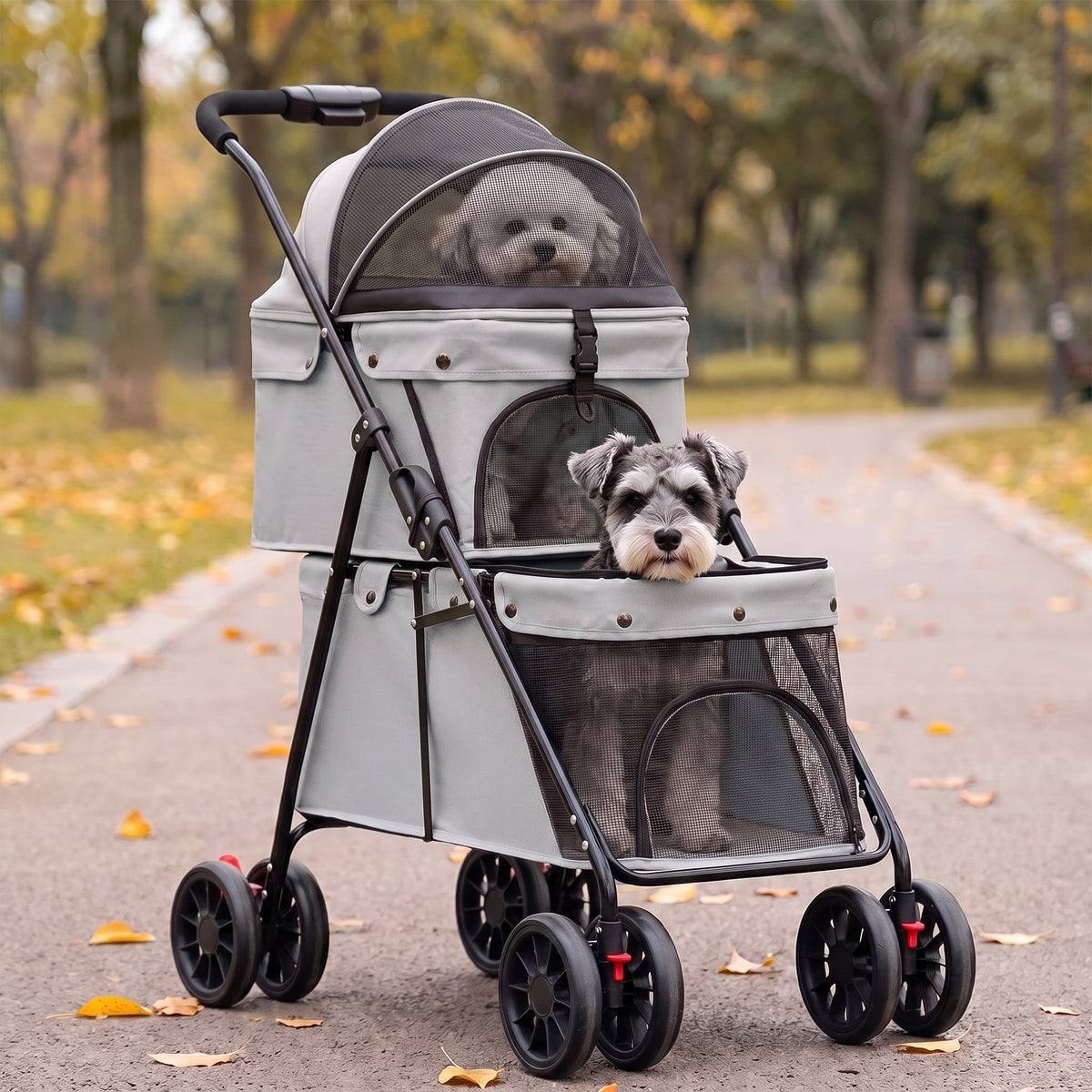 Un vieux bichon à l'étage du haut et un vieux schnauzer nain à celui du bas, poussette double étage grise, sur une allée de parc en automne (illustration)