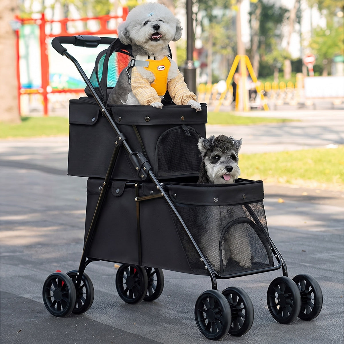 Deux petits chiens dans la poussette double étage noire, un par étage (illustration)