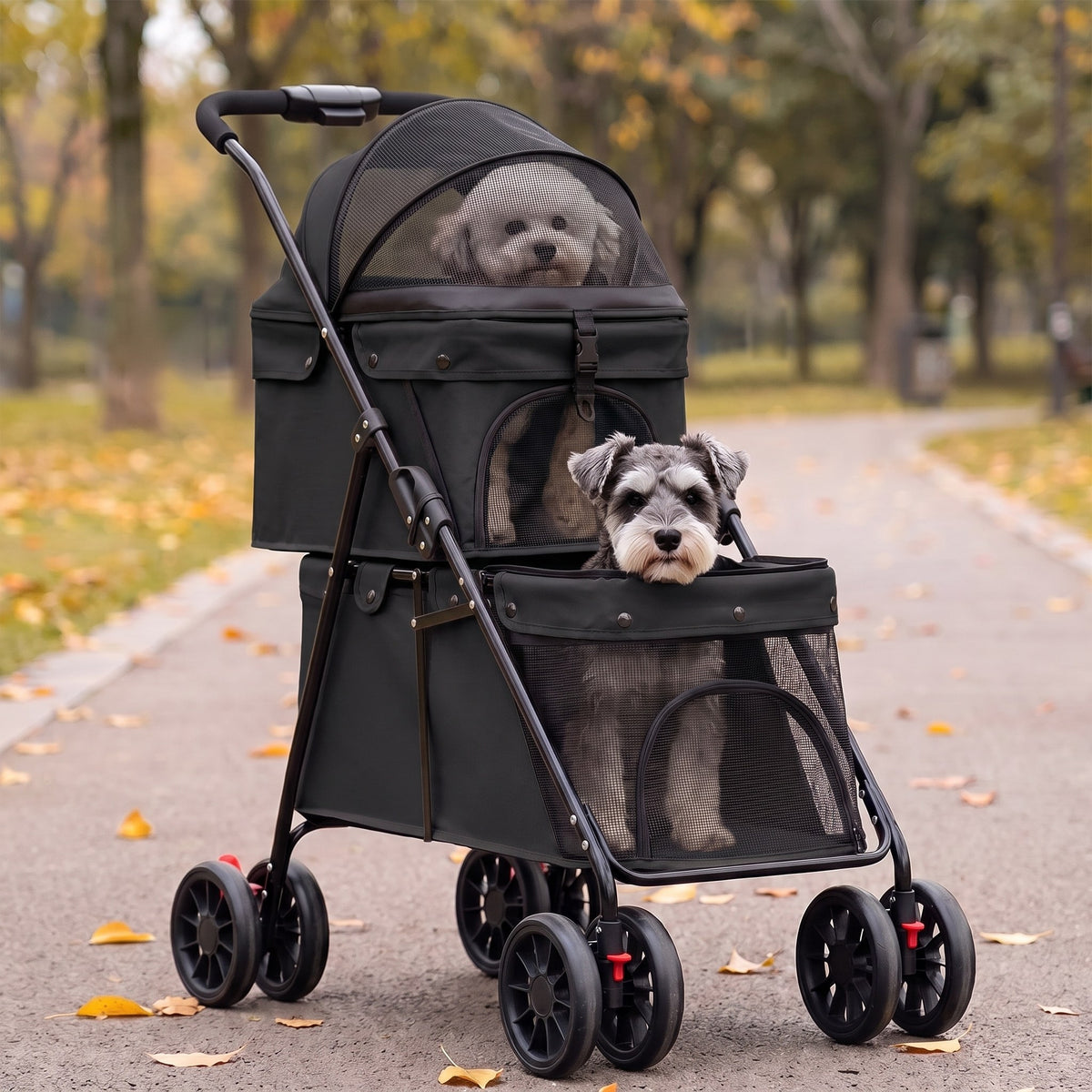 Un vieux bichon à l'étage du haut et un vieux schnauzer nain à celui du bas, poussette double étage noire, sur une allée de parc en automne (illustration)